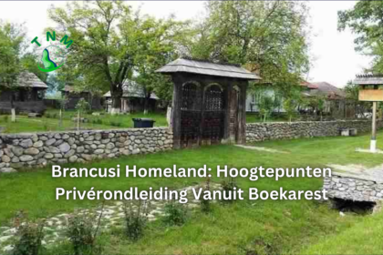 Brancusi Homeland: Hoogtepunten Privérondleiding Vanuit Boekarest