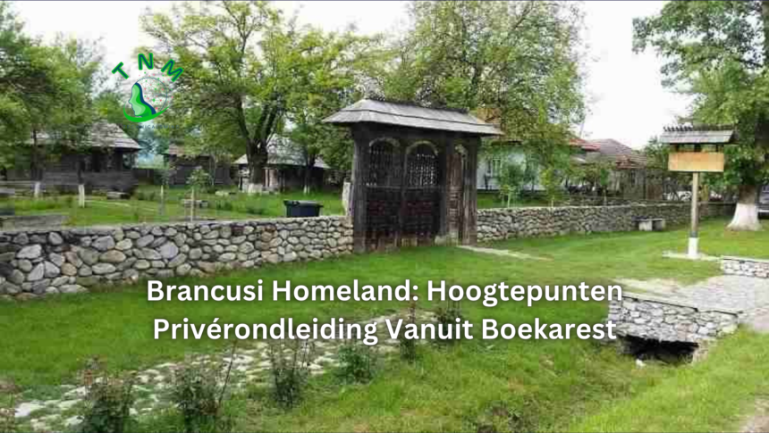 Brancusi Homeland: Hoogtepunten Privérondleiding Vanuit Boekarest